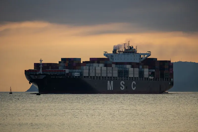 Ocean Freight – Belsped Shipping